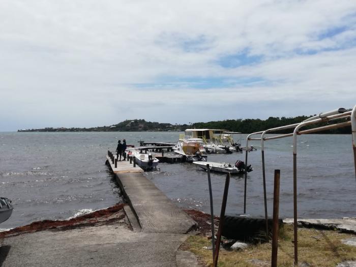 ponton petite france accident bateau françois