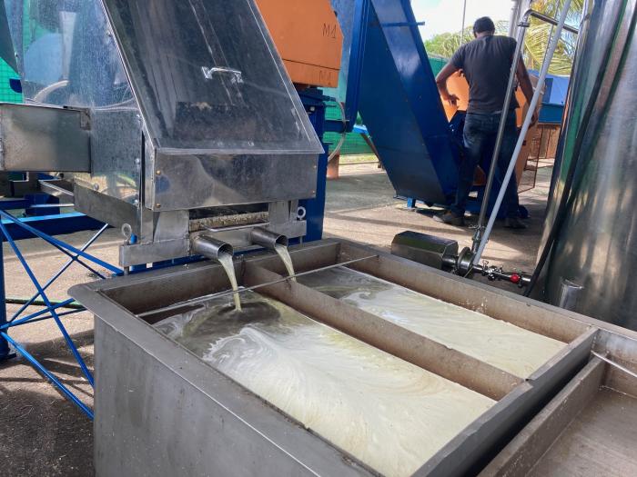 L'extraction du jus de canne sur la chaîne de Papa Rouyo.