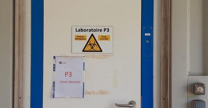 Laboratoire P3 CIRAD