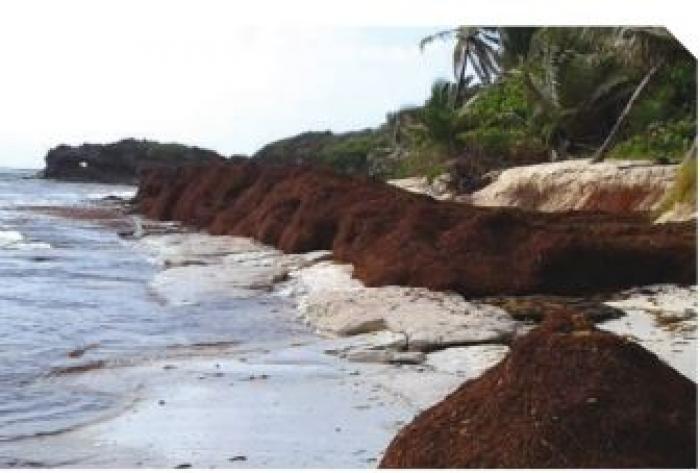anse fréfré.JPG