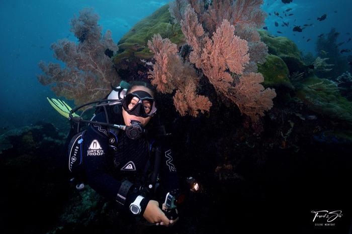 Plongée sous-marine