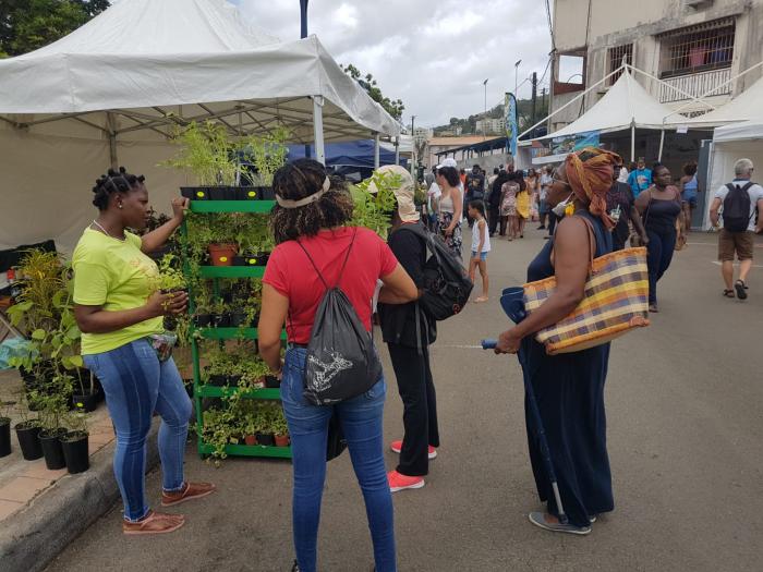 Foire artisanale et agricole de Rivière-Pilote