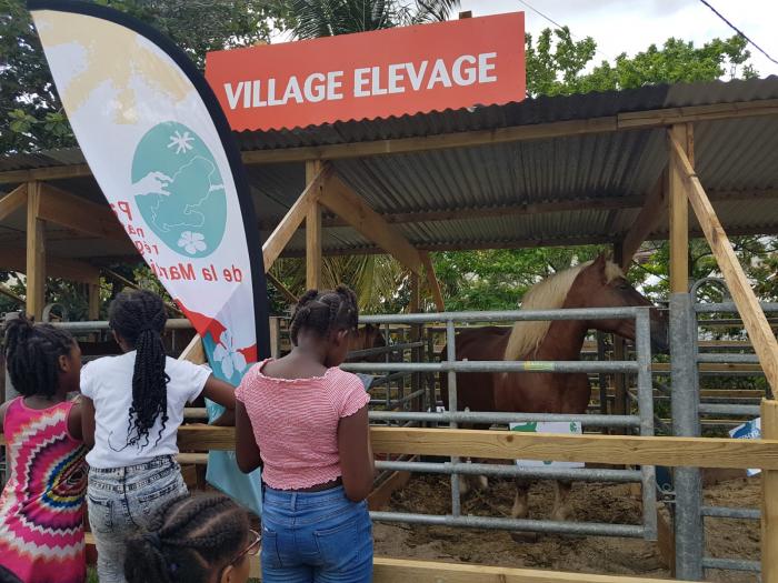 Village élevage, à la foire artisanale et agricole de Rivière-Pilote