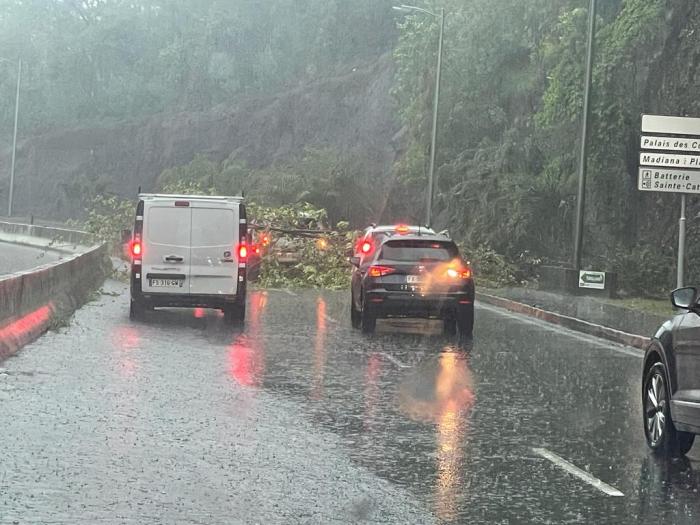 arbre route somarec pluie madiana