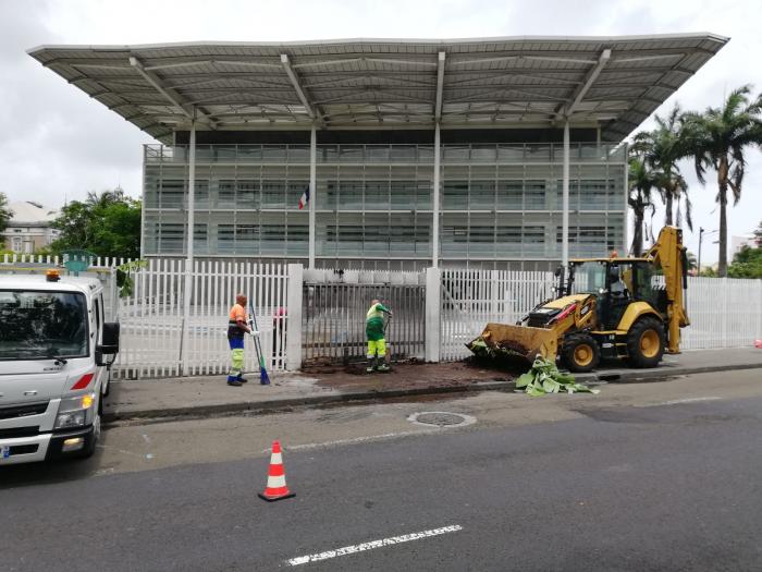 Retrait des bananiers et des sargasses qui entravaient l'entrée du Palais de justice
