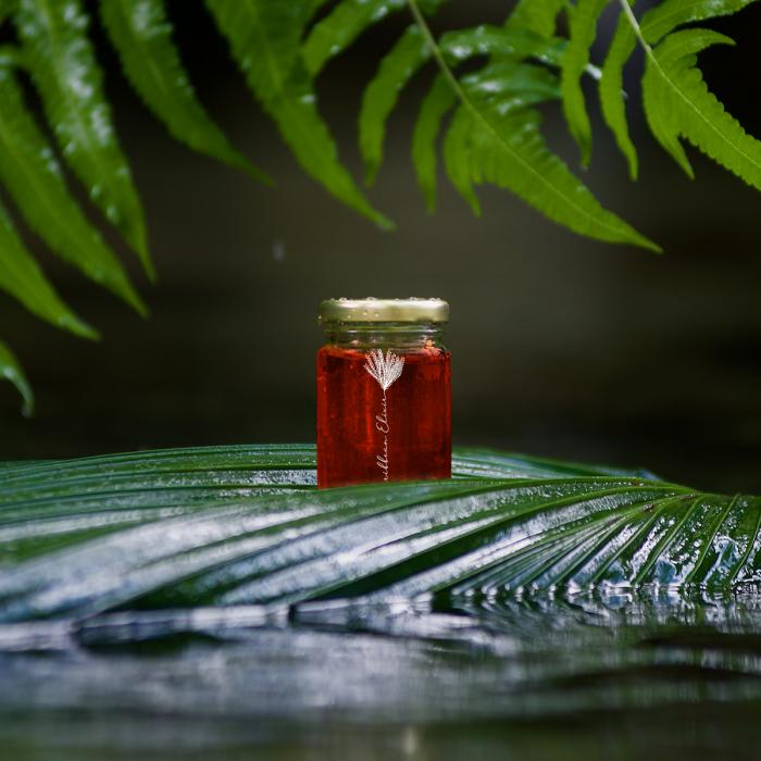 liquid sunshine