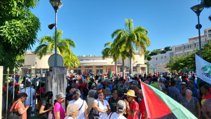 manifestation chlordécone