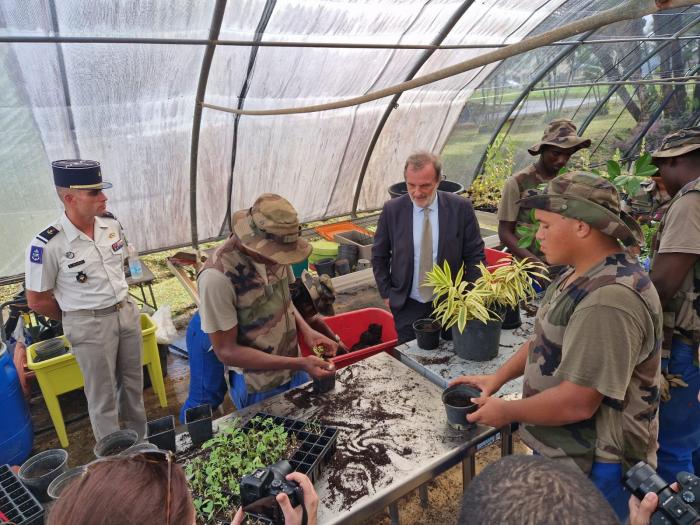 carenco rsma agriculture 