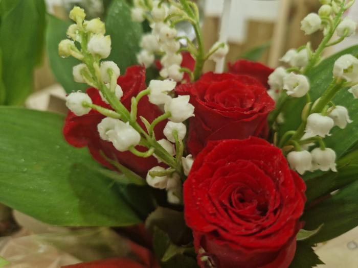 rose muguet