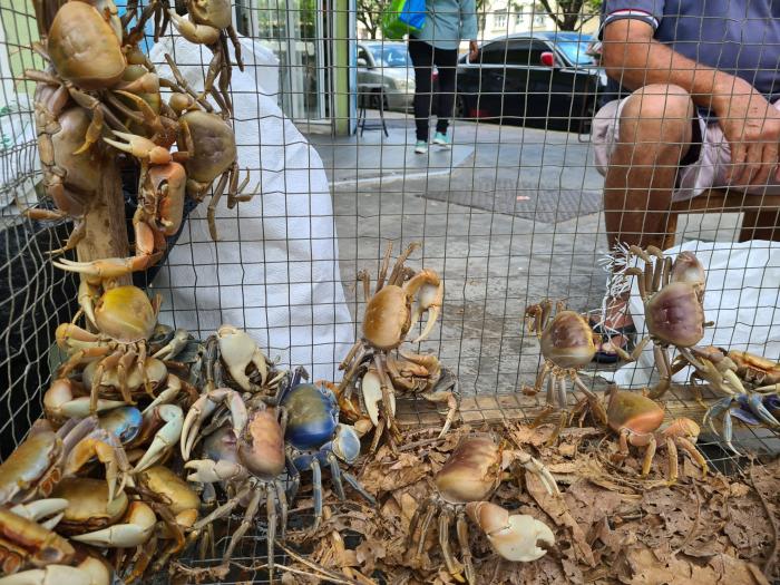crabe