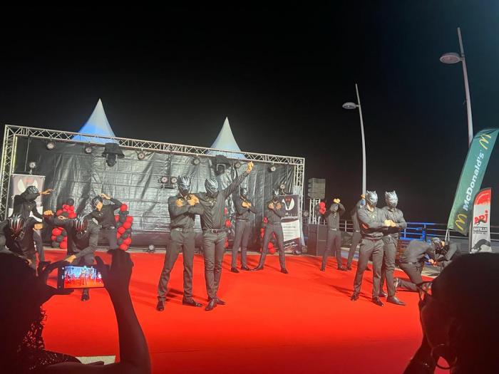 14 candidats sous le thème de Black Panthère