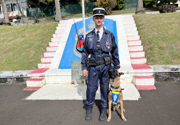 Lego, l'un des 5 chiens de la gendarmerie.