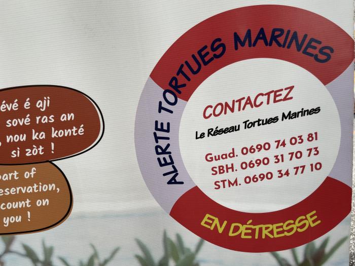 appel tortue