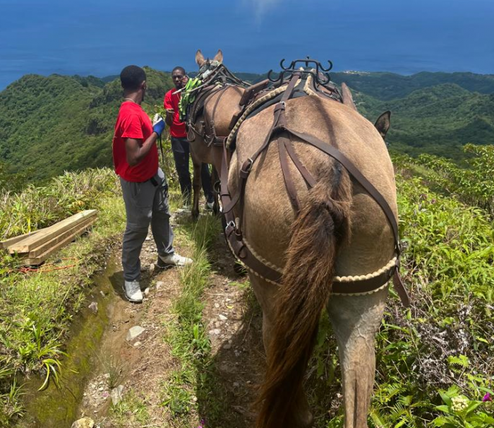 réfection sentier de la montagne pelée