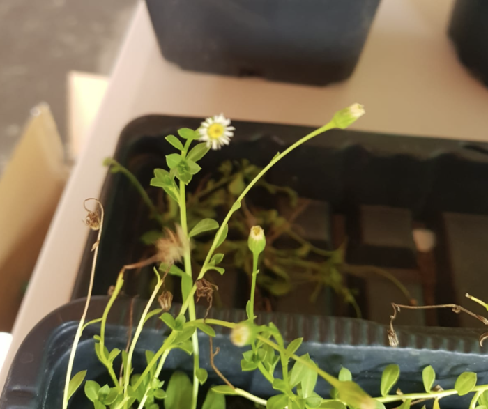 biodiversité.