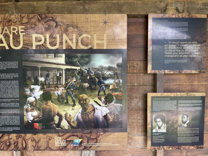 mare au punch