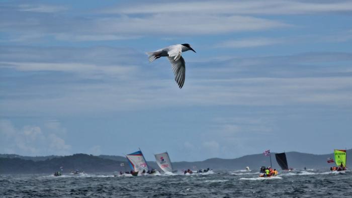 tour des yoles 2023