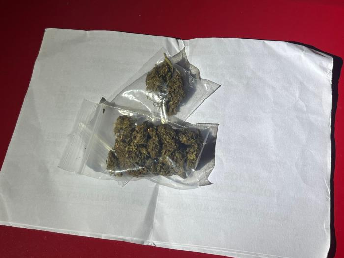 saisie herbe de cannabis