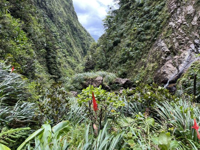 pitons