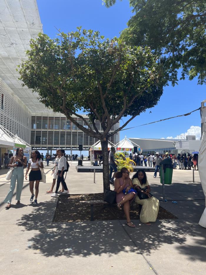 étudiants pôle Guadeloupe UA