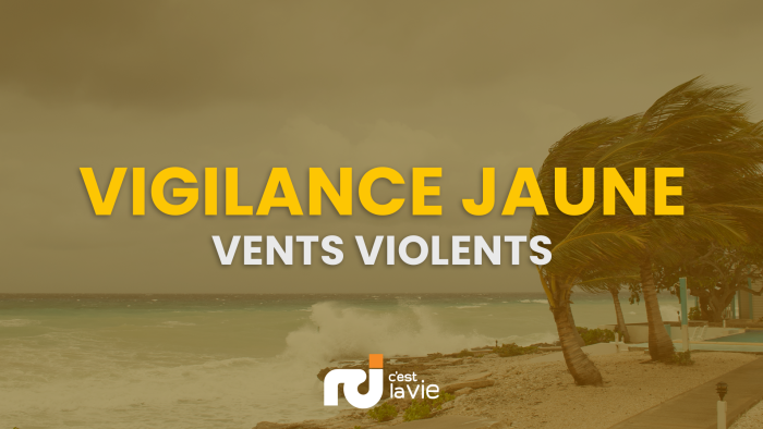 VIGILANCE JAUNE VENTS VIOLENTS