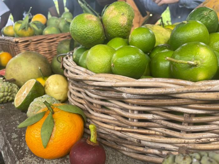 fruits et légumes