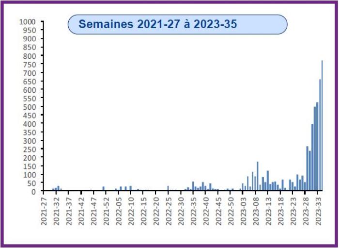 dengue martinique évolution.JPG