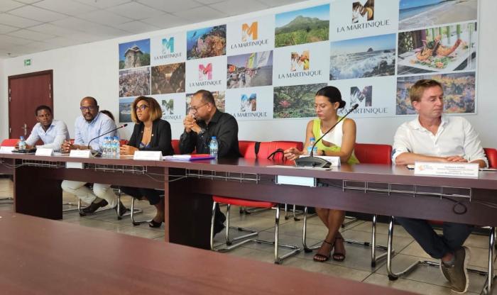 comité martiniquais du tourisme