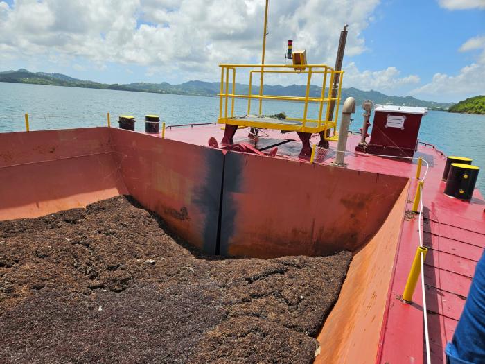 barge collecte de sargasses