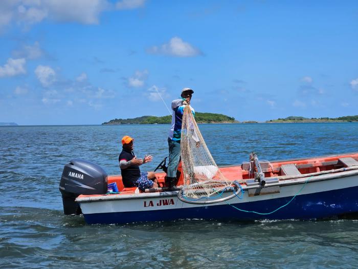 collecte de sargasses marins-pêcheurs