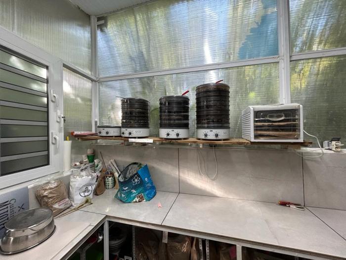 atelier Héritage des Iles