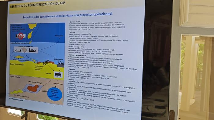 GIP anti-sargasses