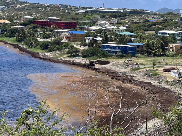 virgin gorda