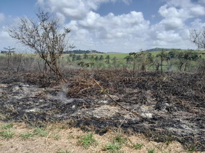 incendie lamberton rivière-salée