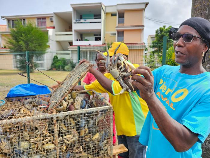 crabes pentecote matoutou Mq