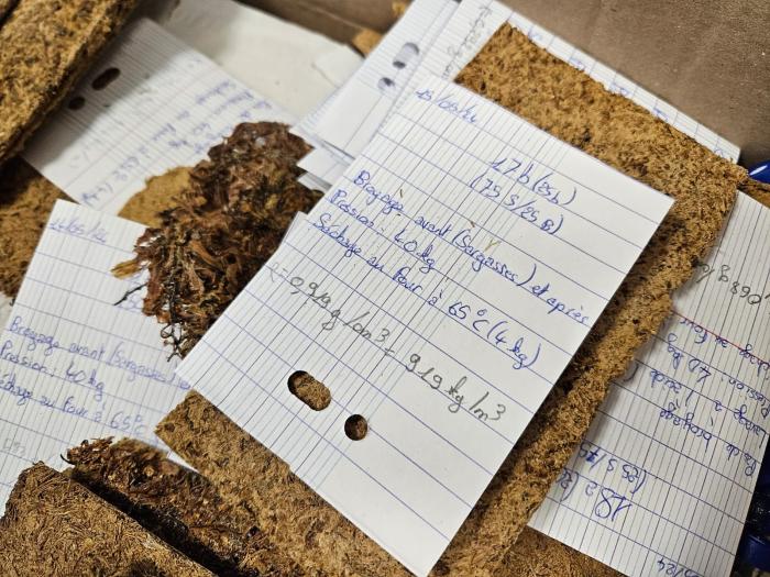 Journées de la recherche à l'université des Antilles