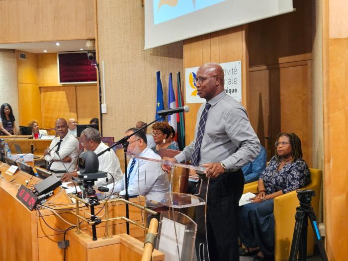 serville assemblée martinique