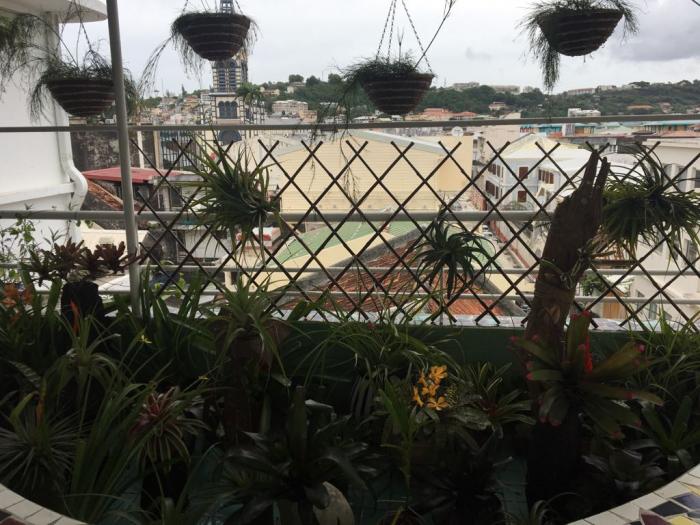 24 jardins et terrasses s'ouvrent au grand public
