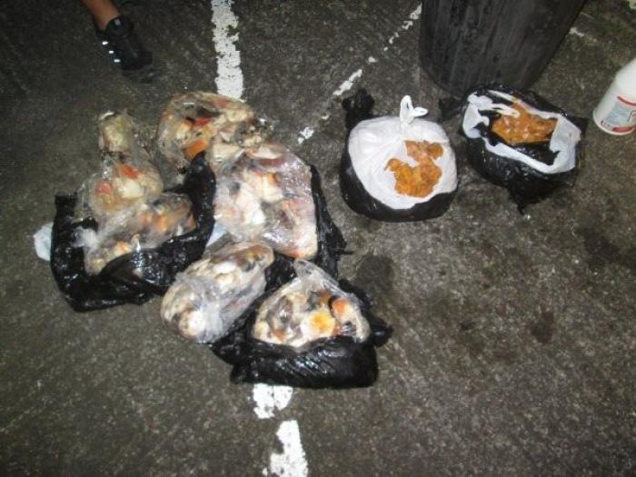 30 kilos de lambis et 11 kilos d'oursins saisis par les gendarmes au Marin