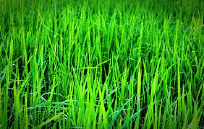 A la Chambre d'agriculture, tous les coups sont-ils permis ?