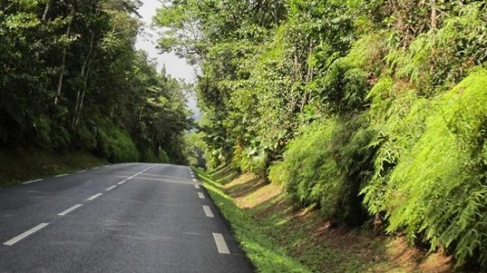 Accident sur la route des Mamelles