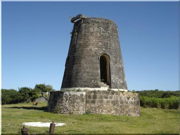 Assemblée générale cannière à Marie-Galante