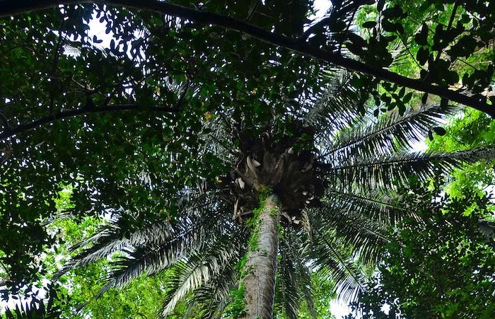 Atlas de la Biodiversité communale : un appel à projet