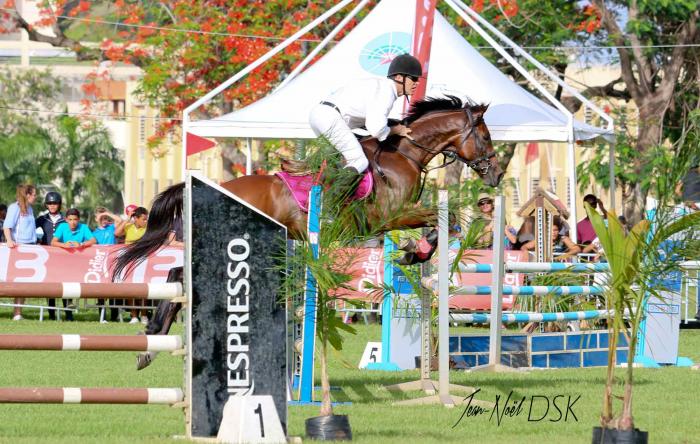 Au galop sur la Savane