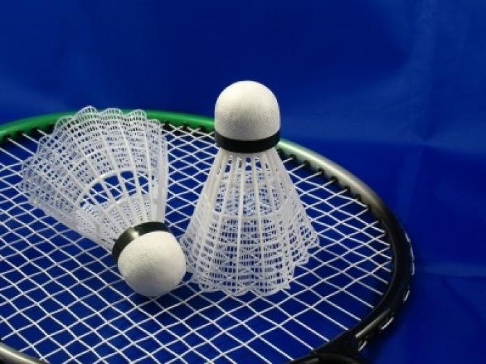 Badminton : une délégation française en visite chez nous