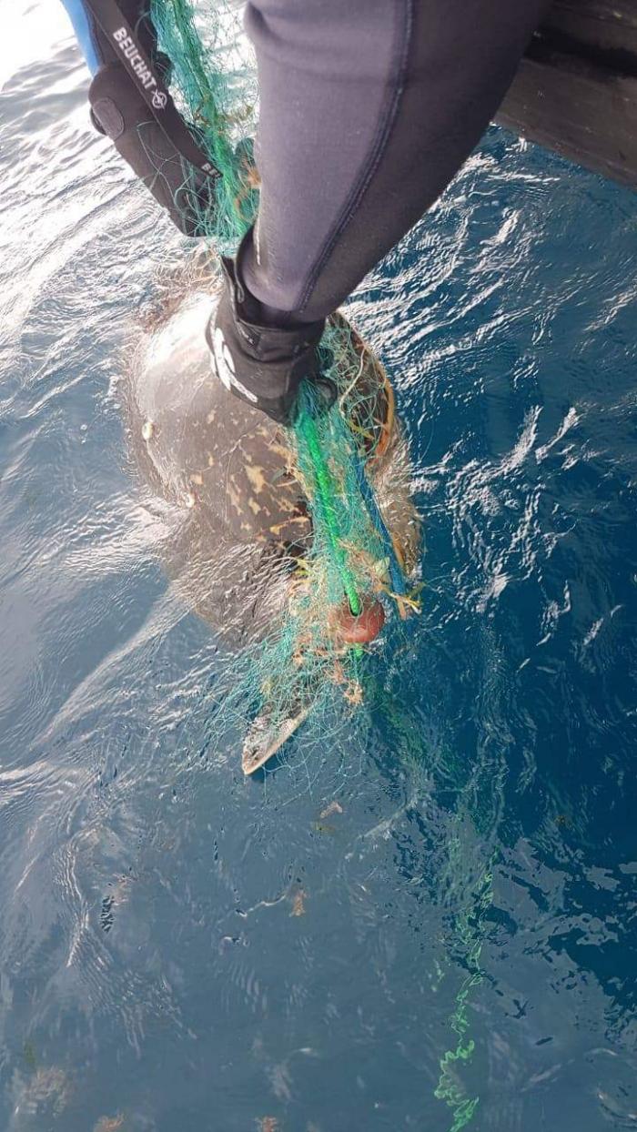 Braconnage en plein coeur de parc: un élu du comité des pêches inquiété