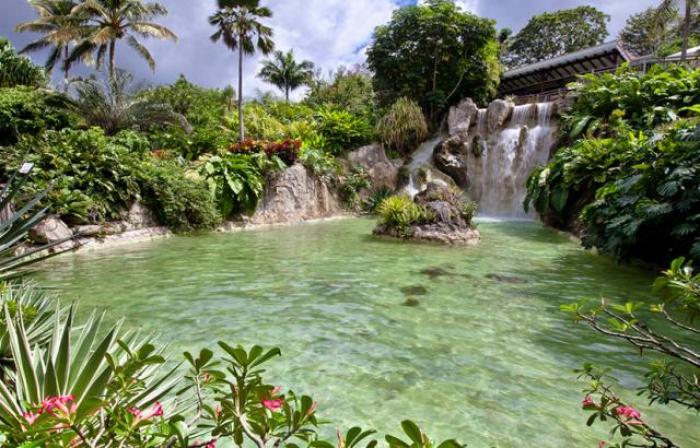 Braquage au jardin botanique : un appel à témoins lancé