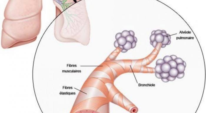 Bronchiolite: 50 consultations par jour au CHU