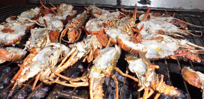 Cambriolage: un voleur de langoustes jugé