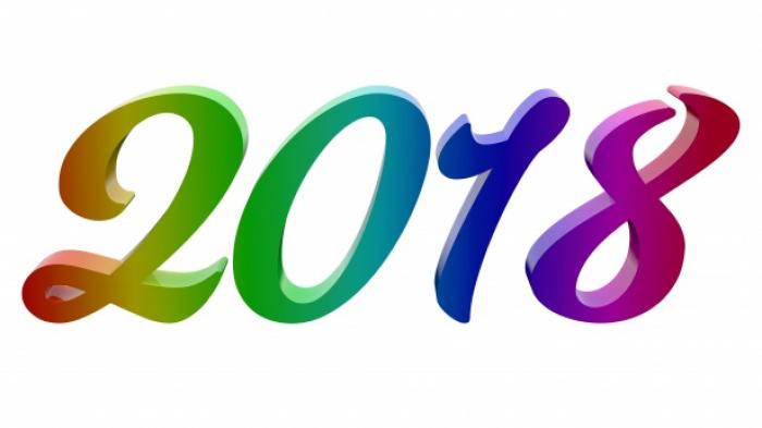 Ce qui vous a marqué en 2018 : football, gilets jaunes, eau...